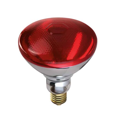 Λάμπα υπέρυθρων E27, κόκκινη, 220V / 100W